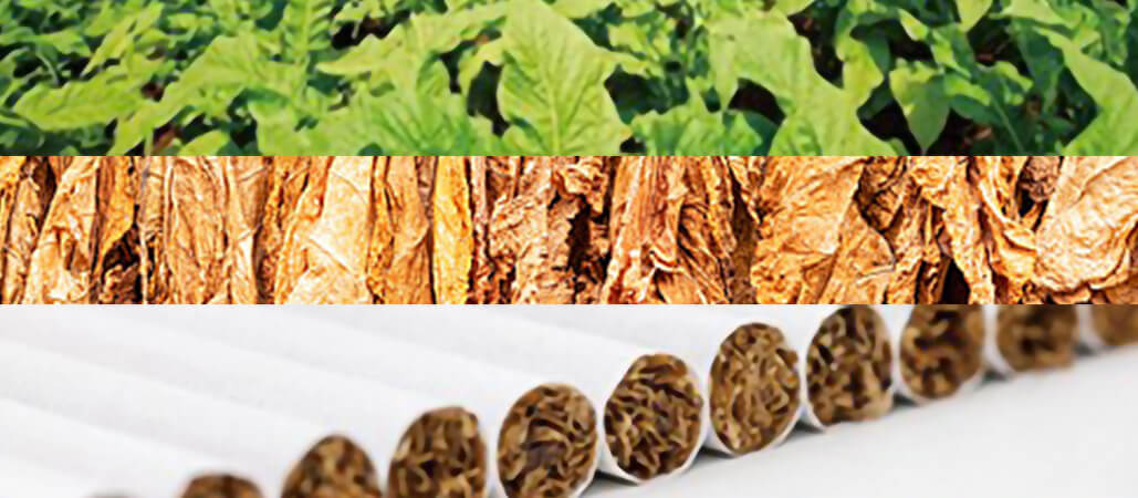 /uploads/image/2024/06/25/1719306870717965/烟草自动化包装1.jpg 烟草自动化包装1.jpg