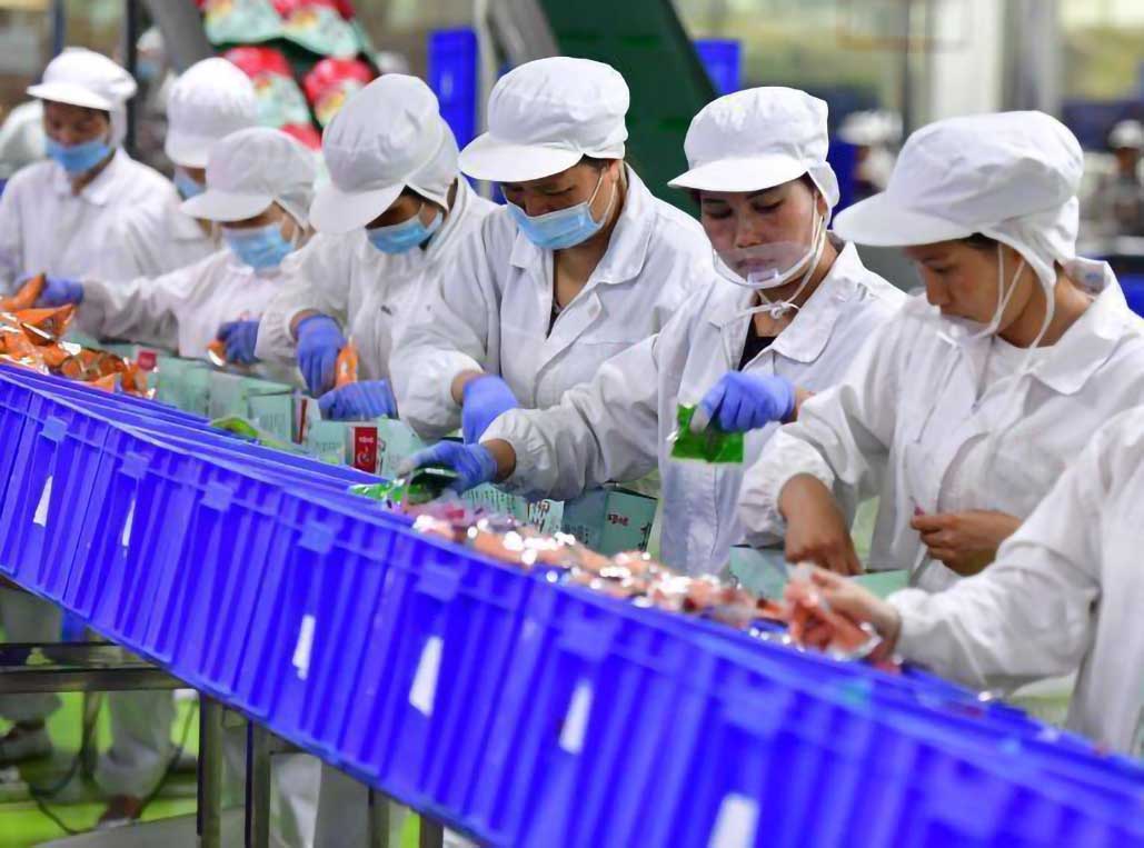 /uploads/image/2024/04/27/1714206327011213/食品人工包装.jpg 食品人工包装.jpg